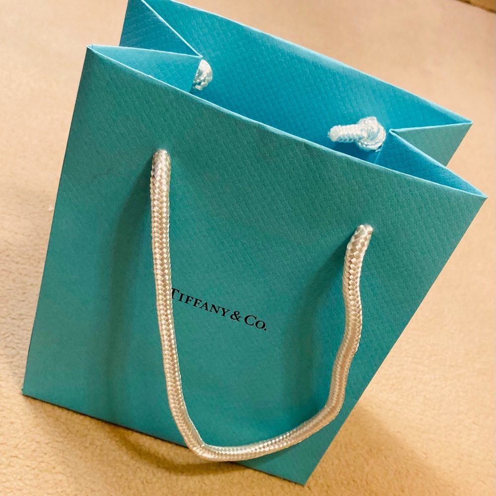 Tiffany & Co.small gift bag with removable white cord handles.